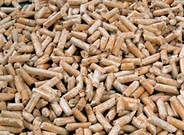Holzpellets m�ssen trocken gelagert werden (Abbildung: Viessmann Werke)